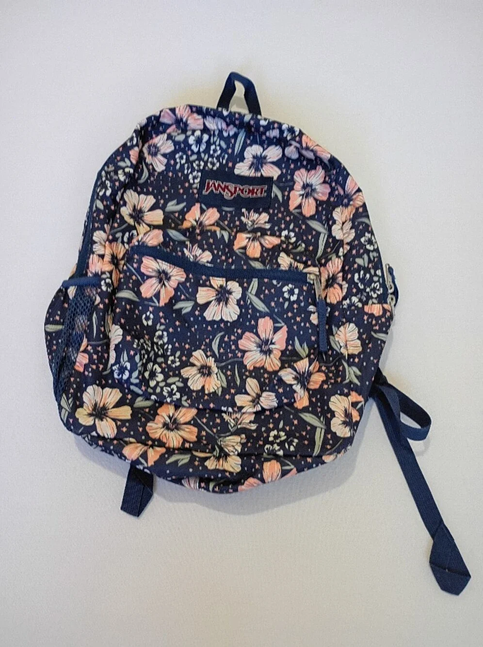 JanSport Cross Town Backpack in the